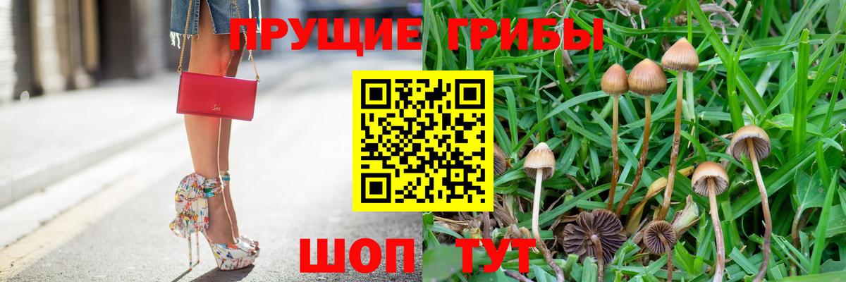 Галлюциногенные грибы мухоморы  Вход с VPN  наркотики  Воткинск 